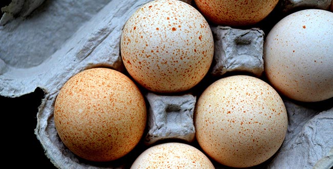 لماذا البيض غذاء مثالي للصحة؟