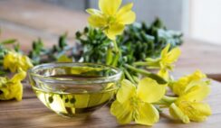 22 فائدة من فوائد زيت زهرة الربيع المسائية